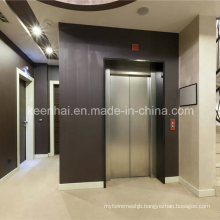 Decorative Stainless Steel Elevator Door